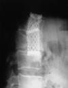 Fig. 3
