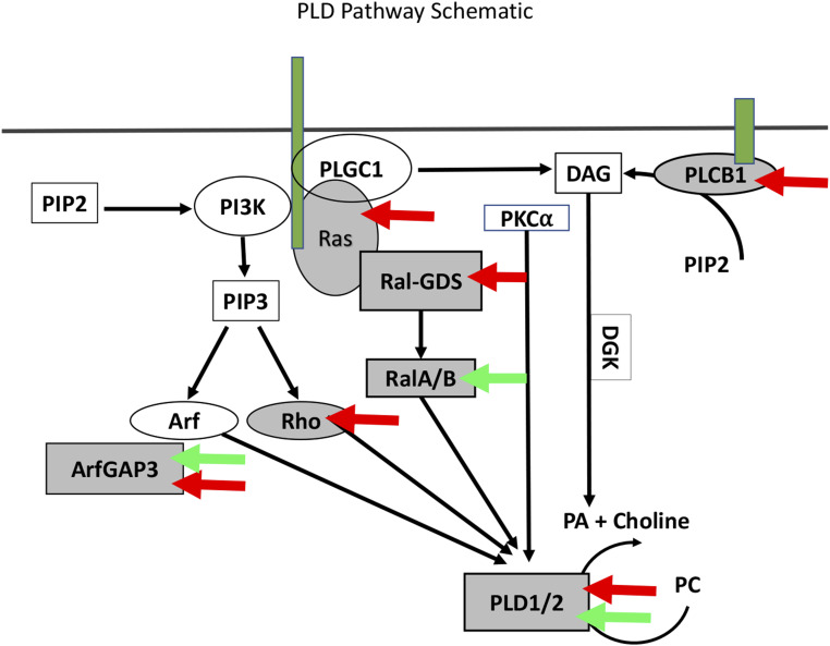 Figure 9