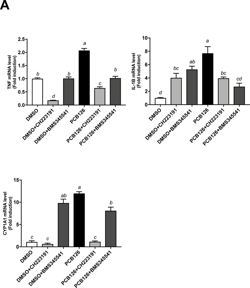 Figure 4.