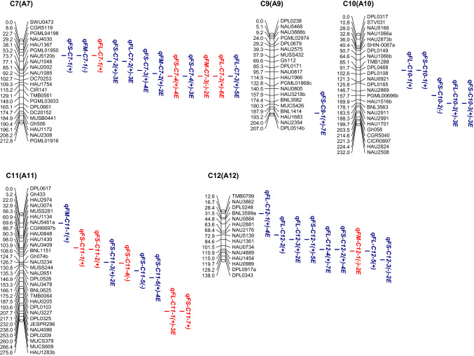 Fig. 2