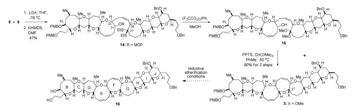 Scheme 4