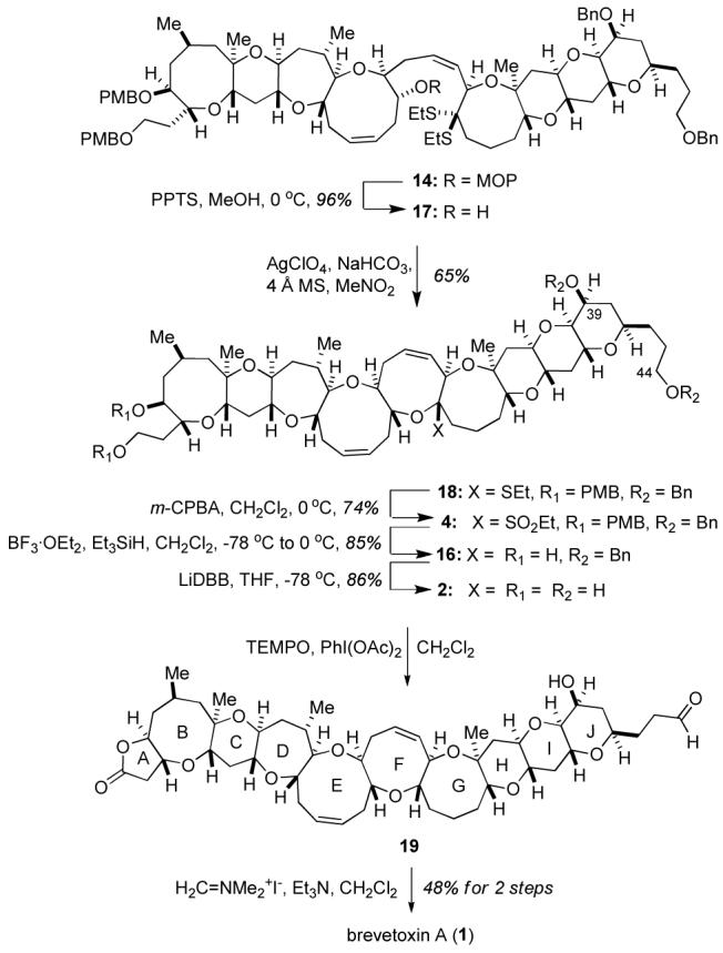 Scheme 5