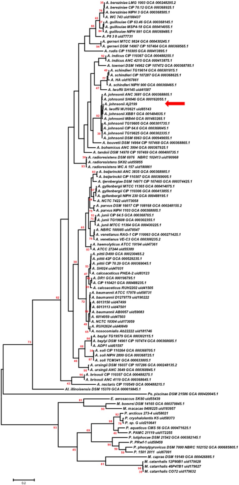 Fig 2