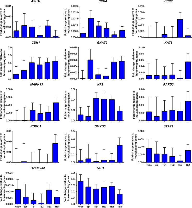 FIGURE 10