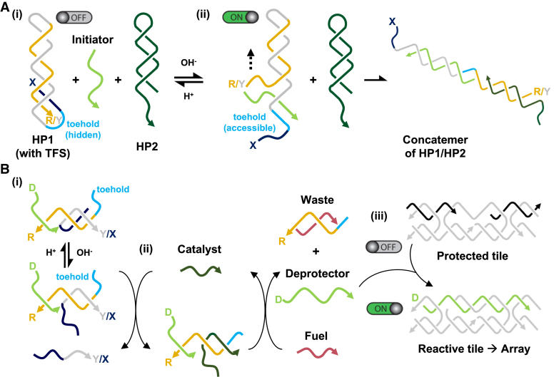 Figure 7.