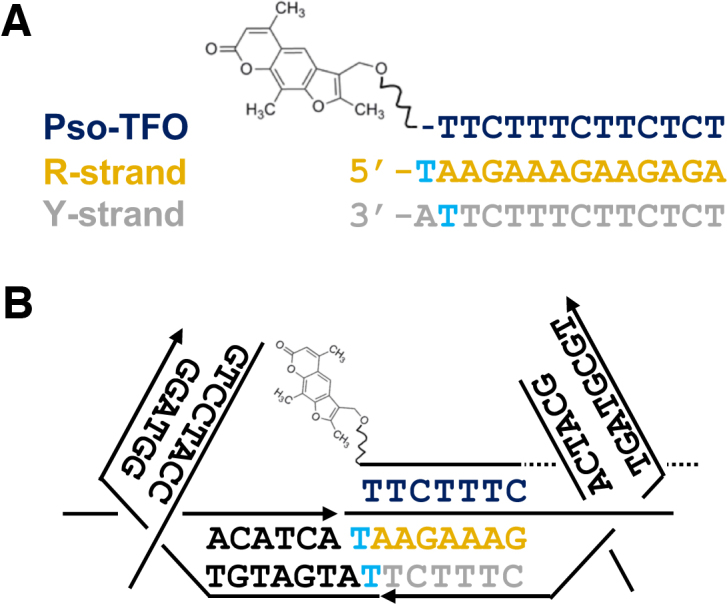 Figure 11.