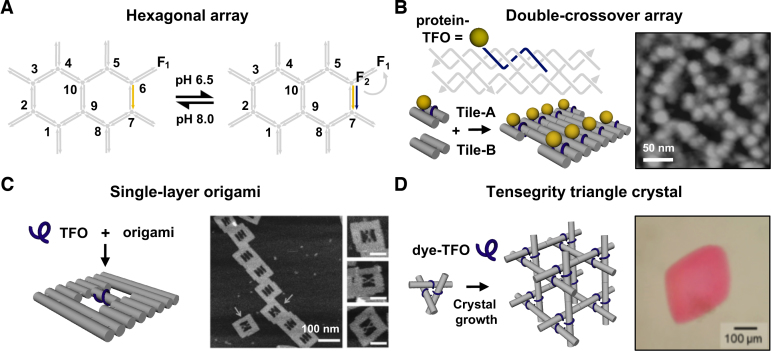 Figure 10.