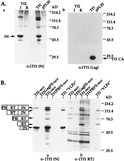 FIG. 7