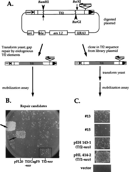 FIG. 9