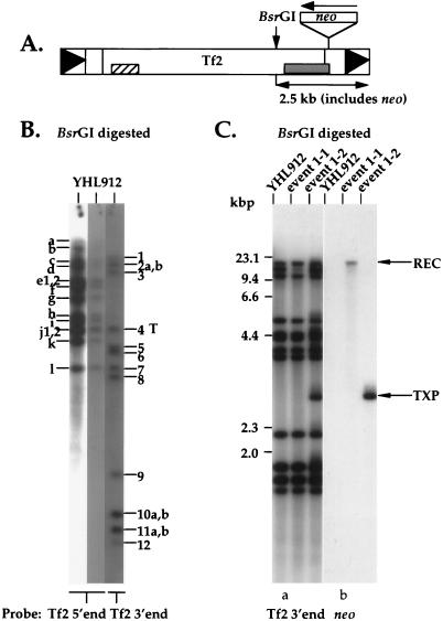 FIG. 5