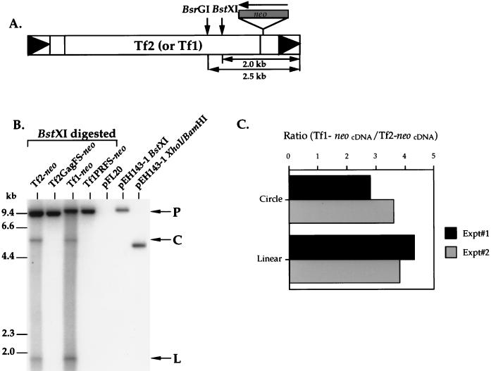 FIG. 8