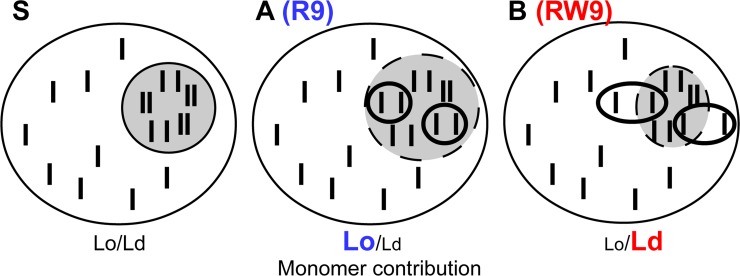 Fig 8