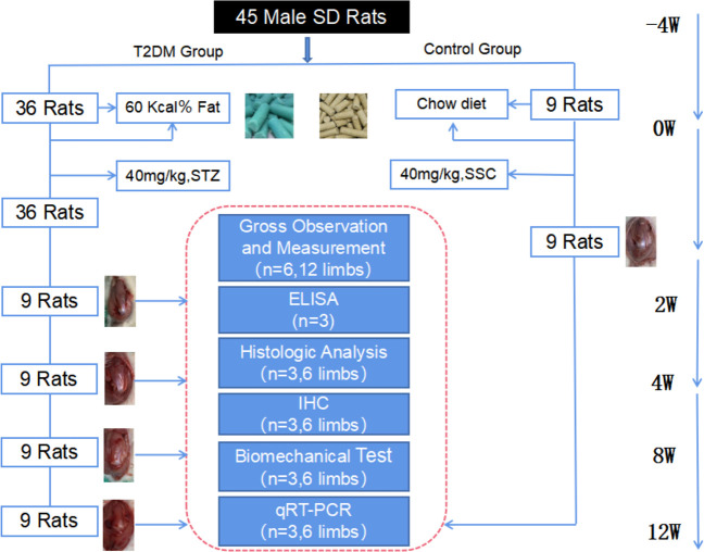 Figure 1