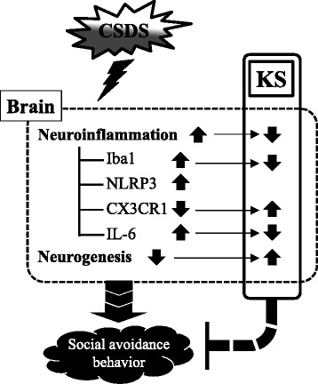 Fig. 9