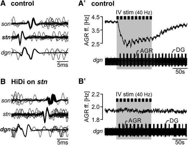 Figure 5.