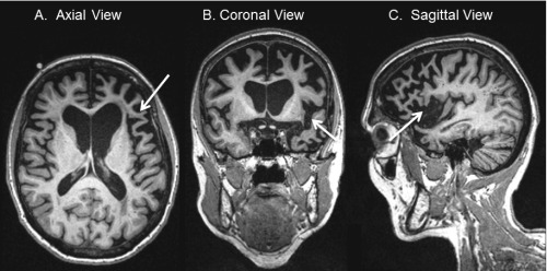 Figure 3.