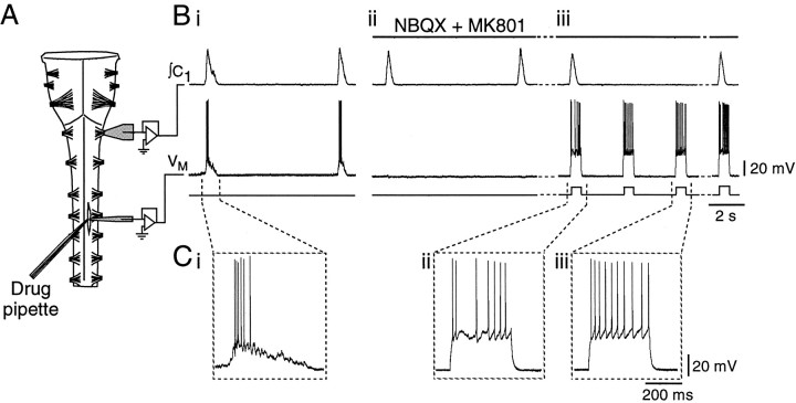 Fig. 1.