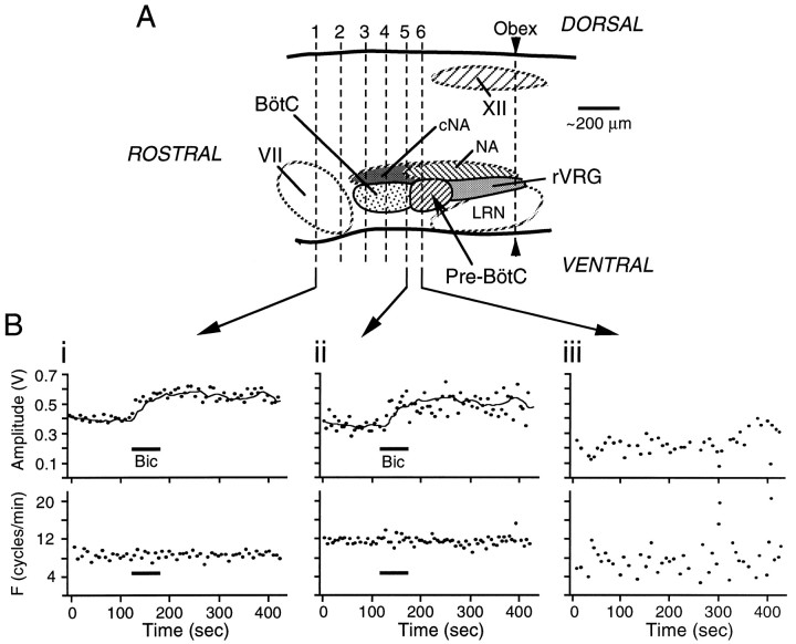 Fig. 10.