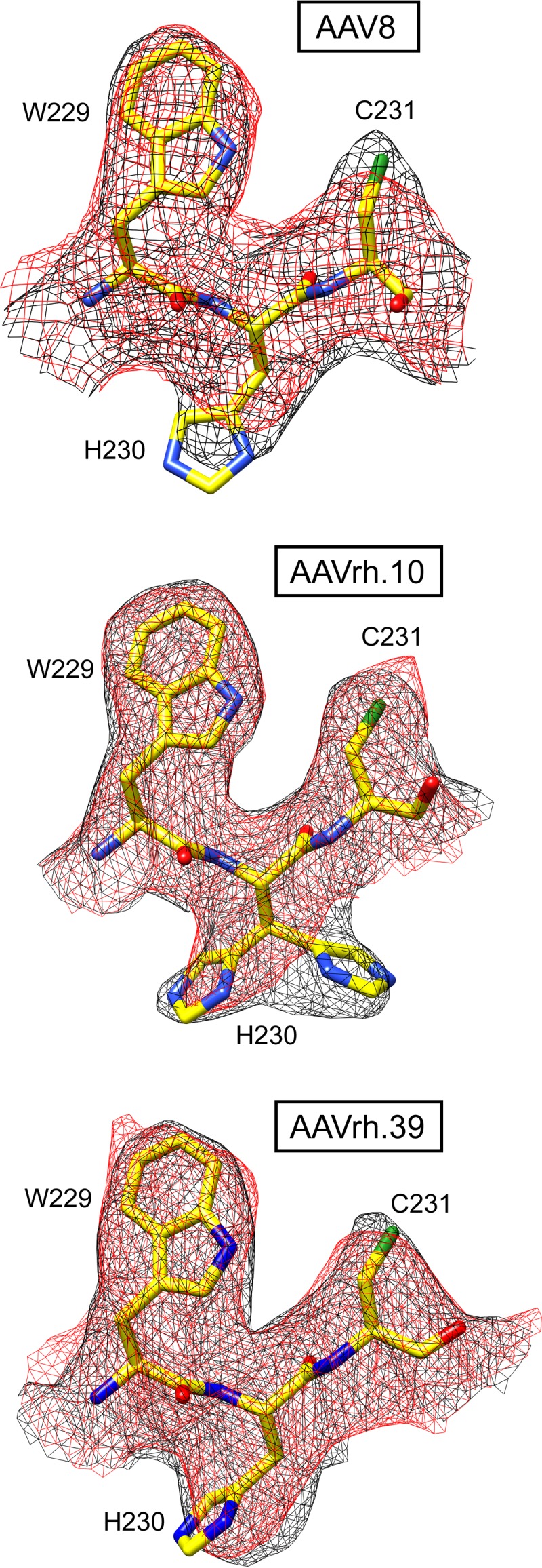 FIG 5