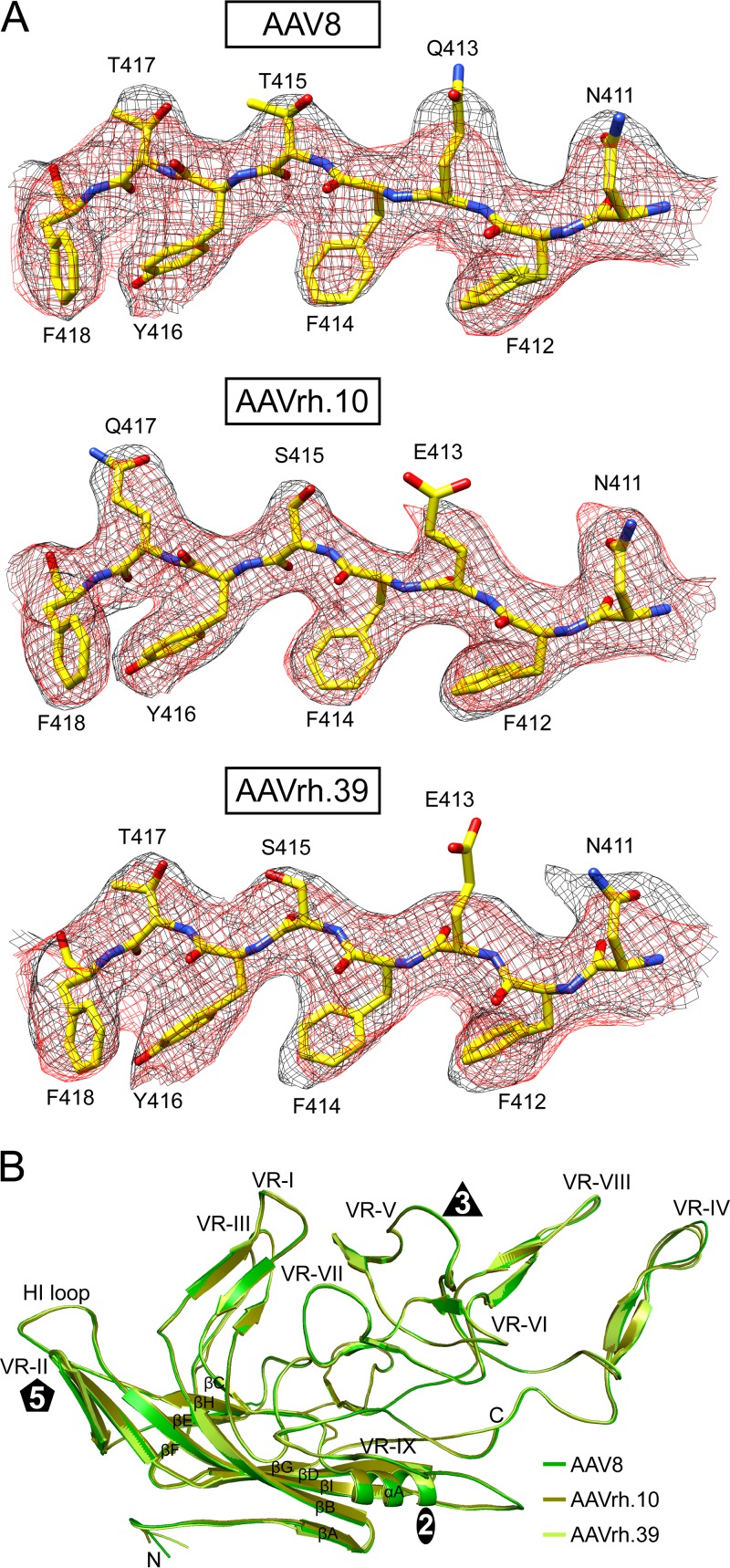 FIG 3