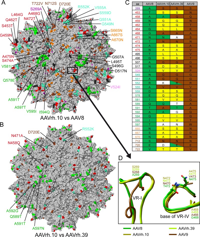 FIG 6