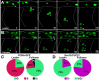 Figure 10—figure supplement 1.