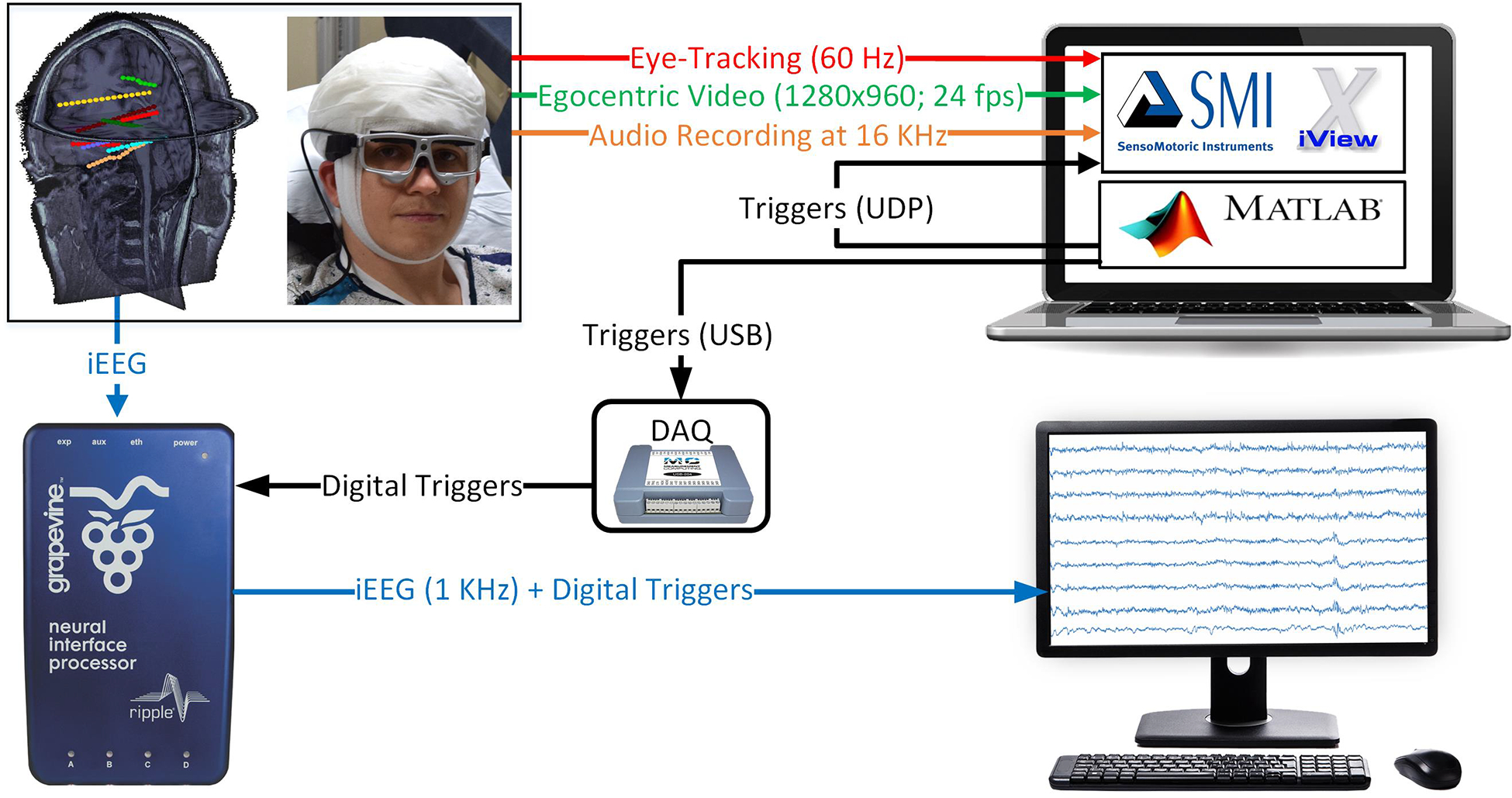 Figure 2:
