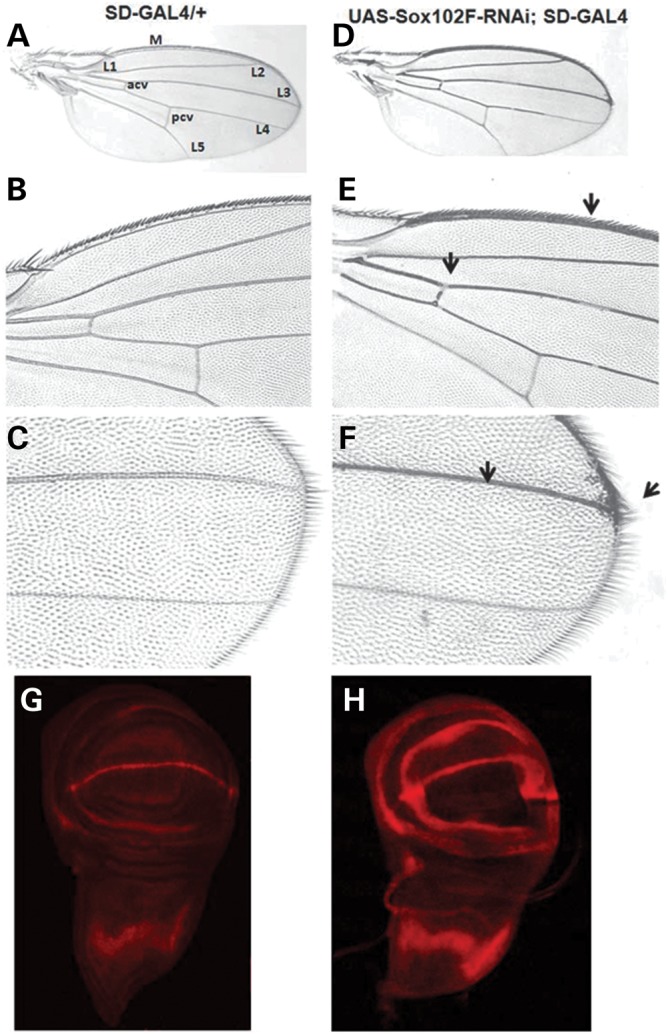 Figure 5.