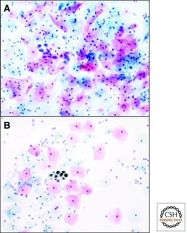 Figure 10.