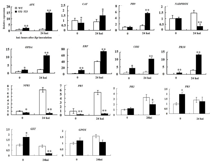 Figure 10