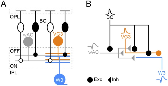 Figure 4—figure supplement 4.