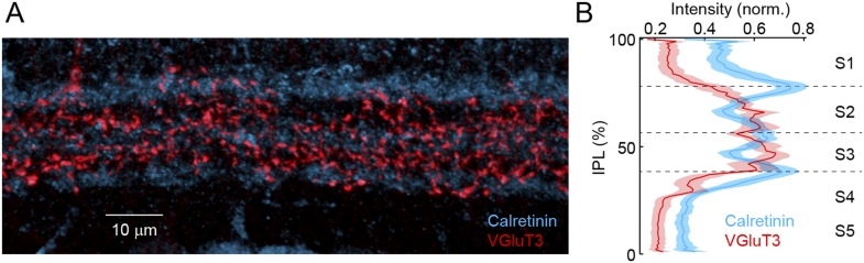 Figure 1—figure supplement 2.