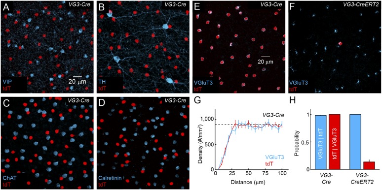 Figure 1—figure supplement 1.