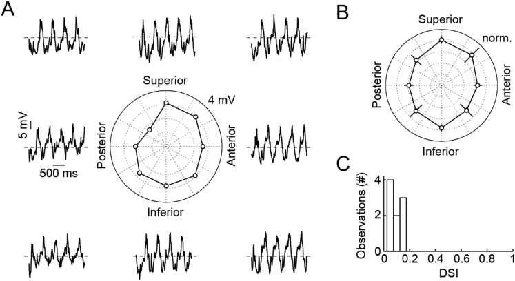 Figure 2—figure supplement 1.