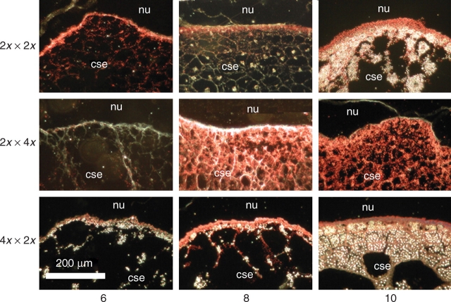 Fig. 8.