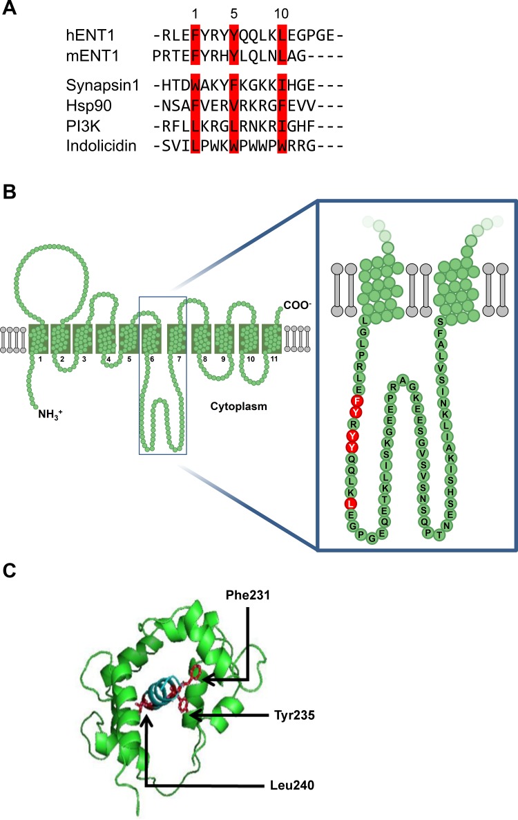 Fig. 2.