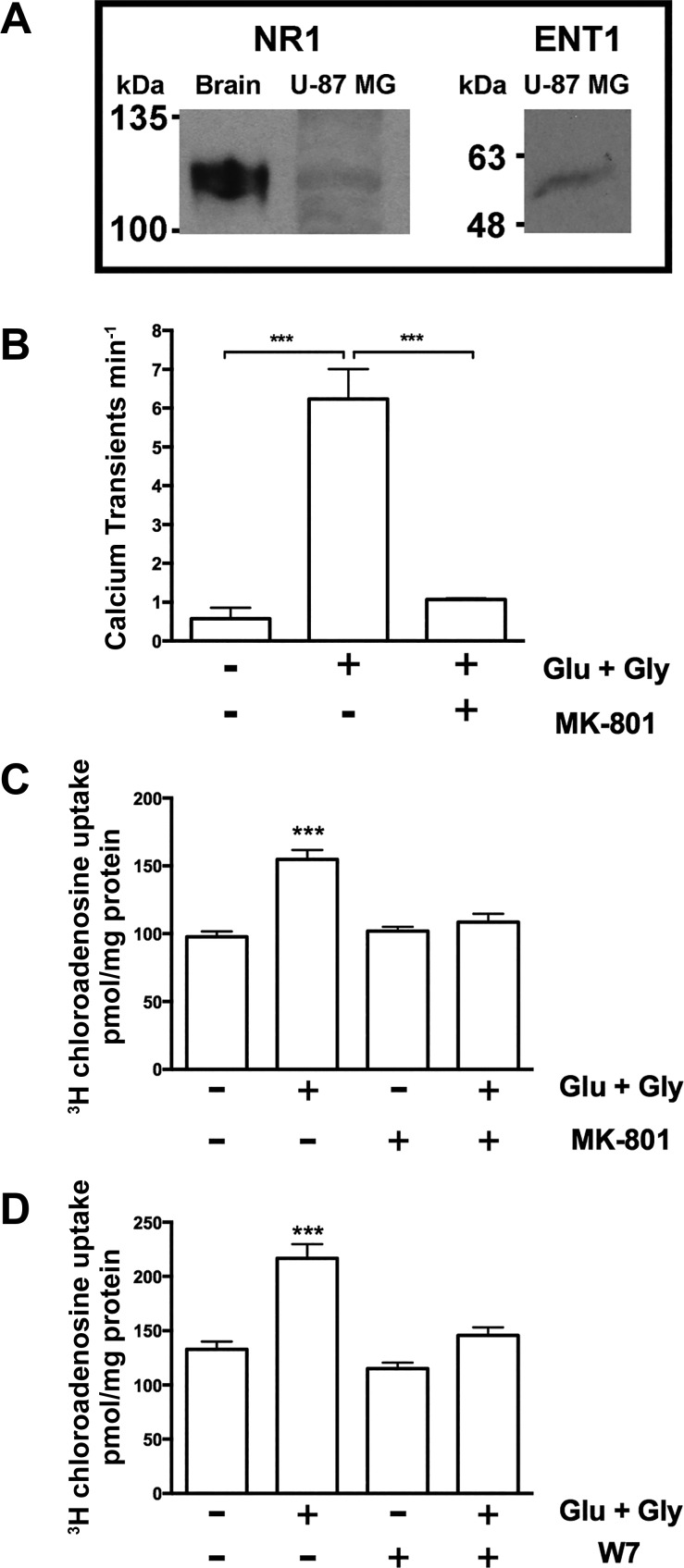 Fig. 8.