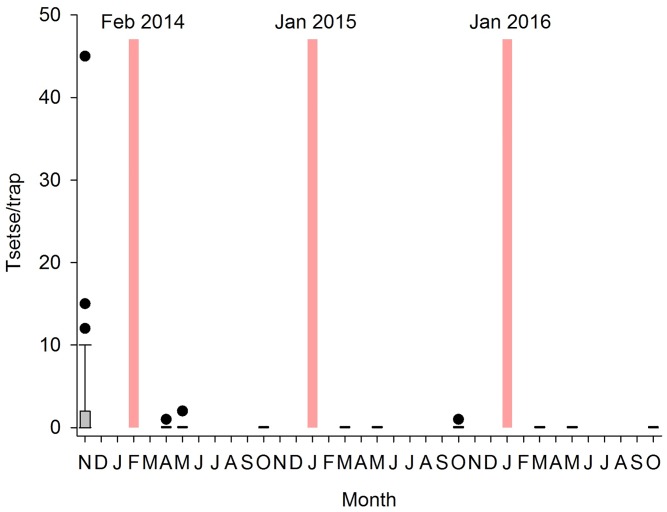 Fig 3