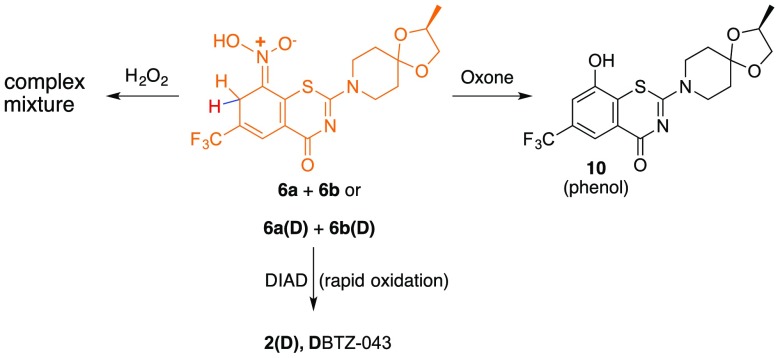 Scheme 4