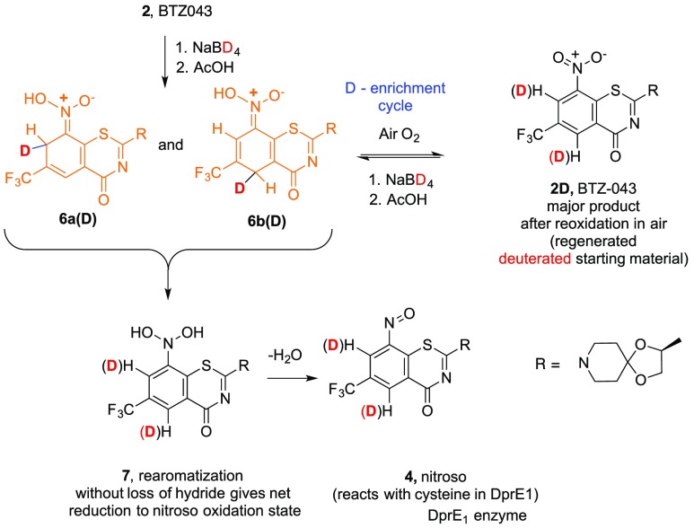 Scheme 3