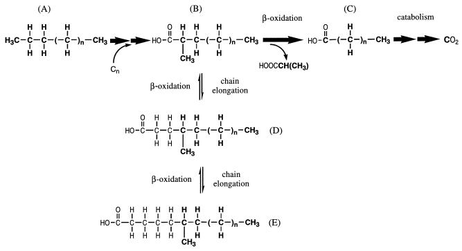 FIG. 7