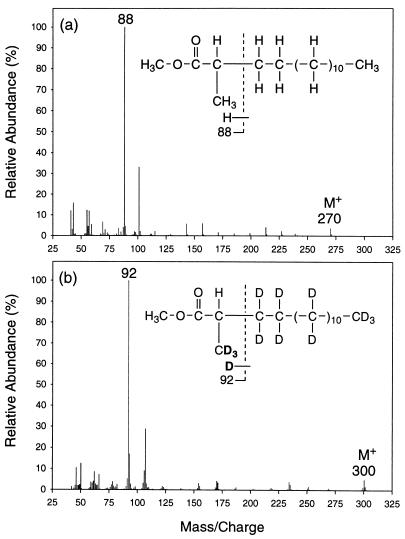 FIG. 6