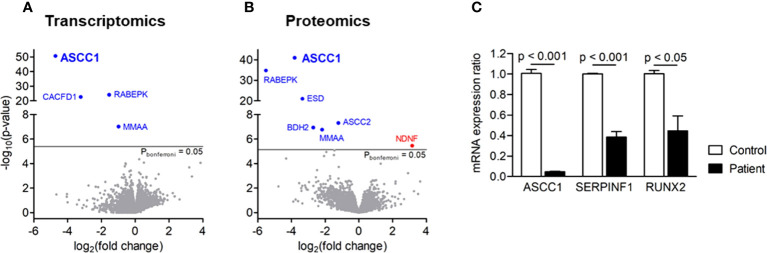 Figure 3