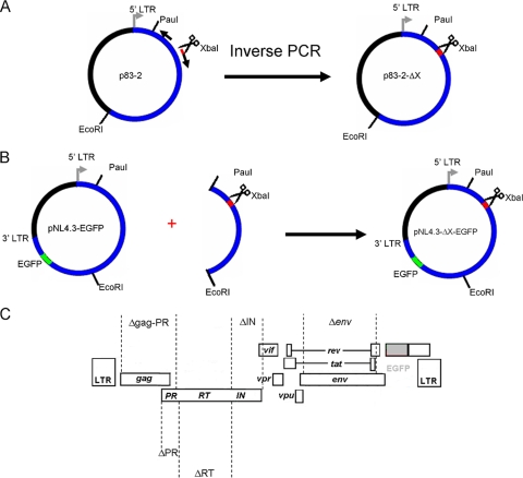 FIG. 1.