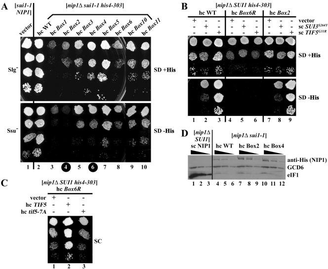 FIG. 2.