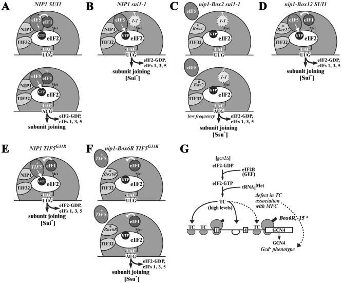 FIG. 8.