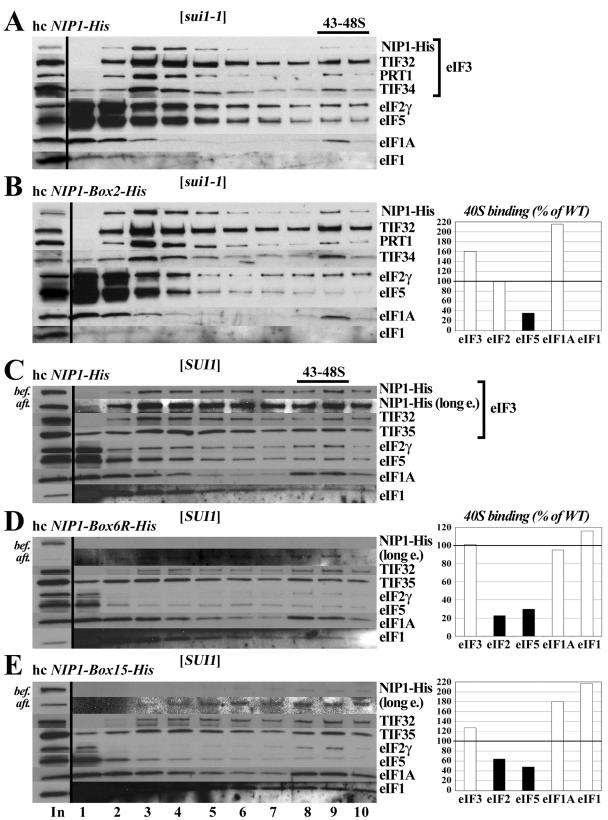 FIG. 5.