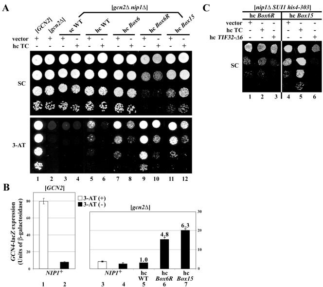 FIG. 6.