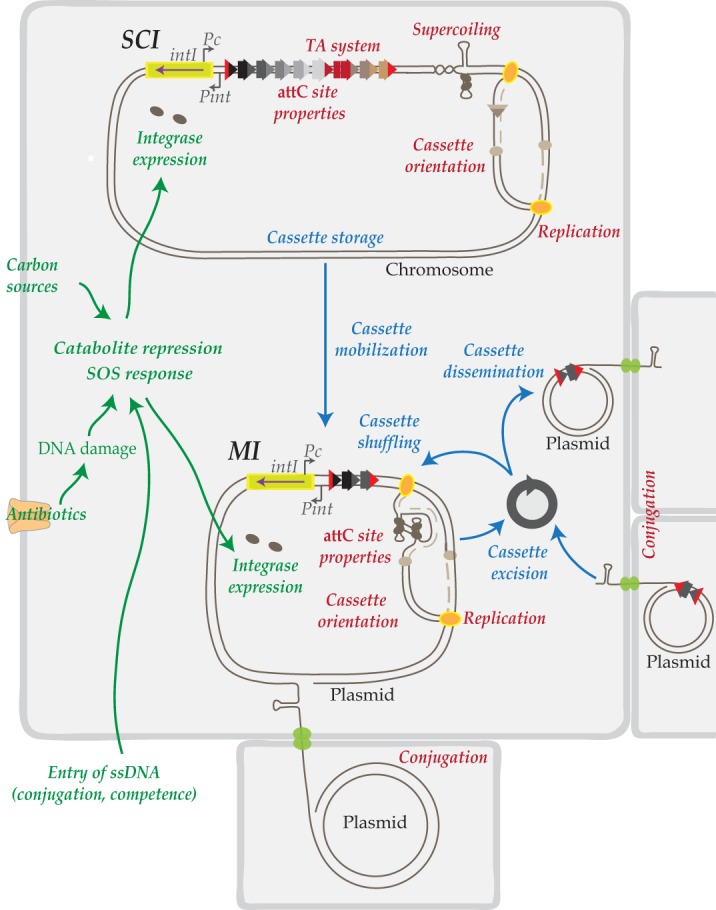 FIG 6 