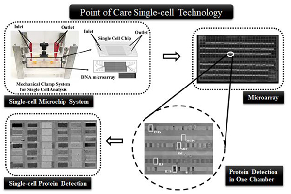 graphic file with name nihms-1051410-f0006.jpg